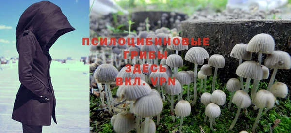 гашик Струнино