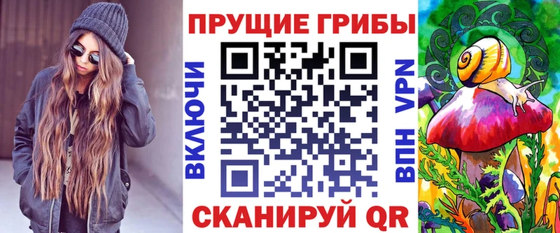 блэк спрут ссылки  Холм  Псилоцибиновые грибы Psilocybine cubensis 